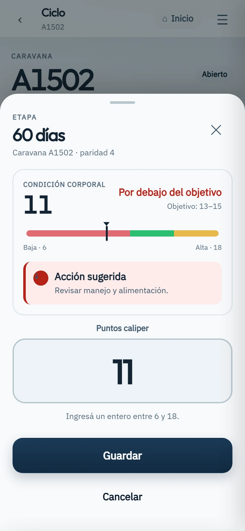 Tagra en el celular: ciclo de la caravana A1502 con el panel de carga abierto y el puntaje del caliper en 11.
